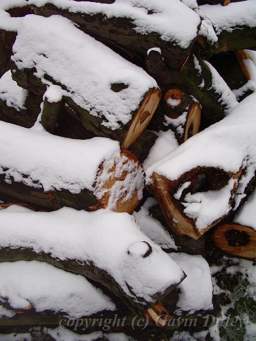 Woodpile patterns, Snow, Greenwich Park IMGP7591.JPG